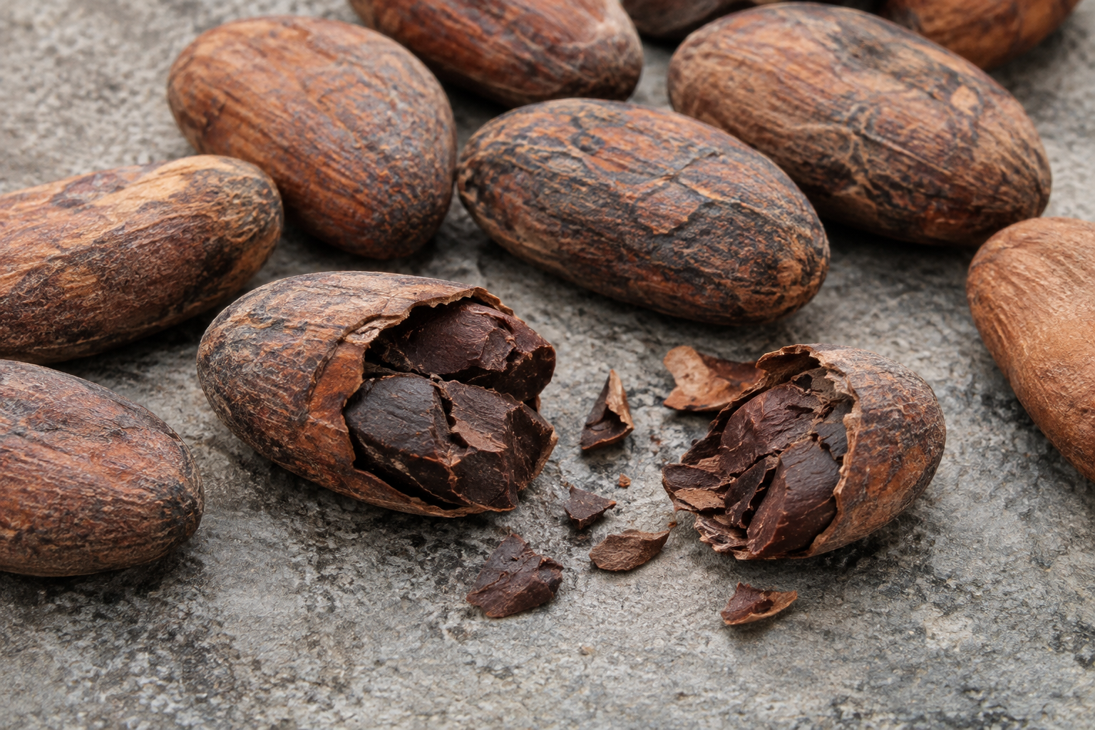 Close-up of cocoa beans, illustrative image